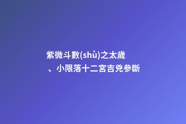 紫微斗數(shù)之太歲、小限落十二宮吉兇參斷